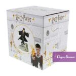 harry_potter_first_year_6003638_4.jpg