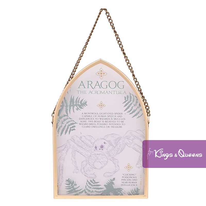 Wall Sign Plate Creatures Spider Aragog Harry Potter