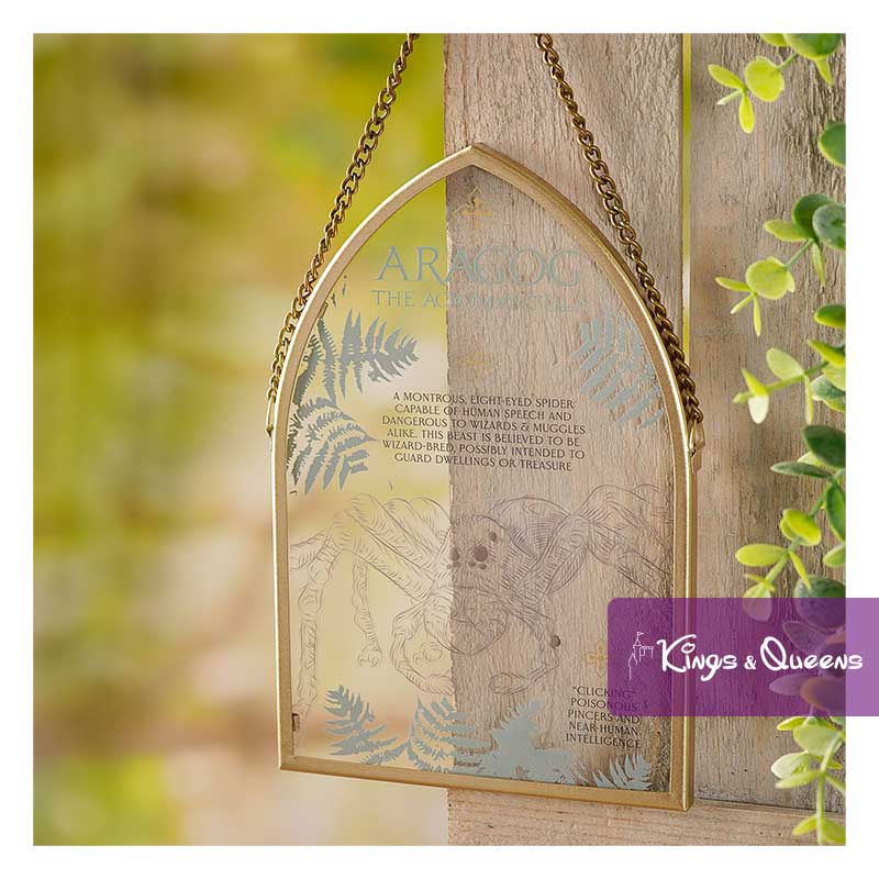 Wall Sign Plate Creatures Spider Aragog Harry Potter